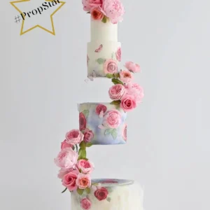 Zoe clark cakes Side Bar Floating Tier cake