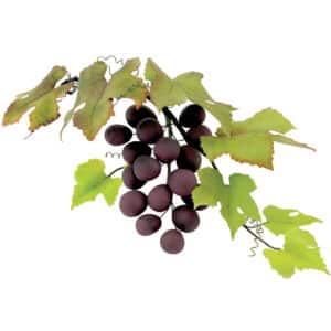 103FF031 2 JEM Grape Vine Leaf Cutter Cutters Floral Must Haves Floral Essentials Floral Cutters