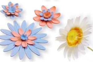 Sunflower Gerbera Daisies TN PME Veined Sunflower Daisy Gerbera Plunger Cutters Cutters Plungers Cutters Floral