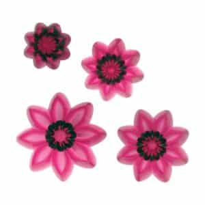 103FF045 2 JEM Pointed 8 Petal Daisy Cutters Cutters Floral Must Haves Floral Essentials Floral Cutters