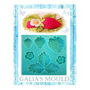 Mulaj silicon capsuna (frunze, fructe, flori) Galia’s Moulds