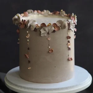 Colorant alimentar pe baza de ulei, Pebble 20ml, Colour Mill