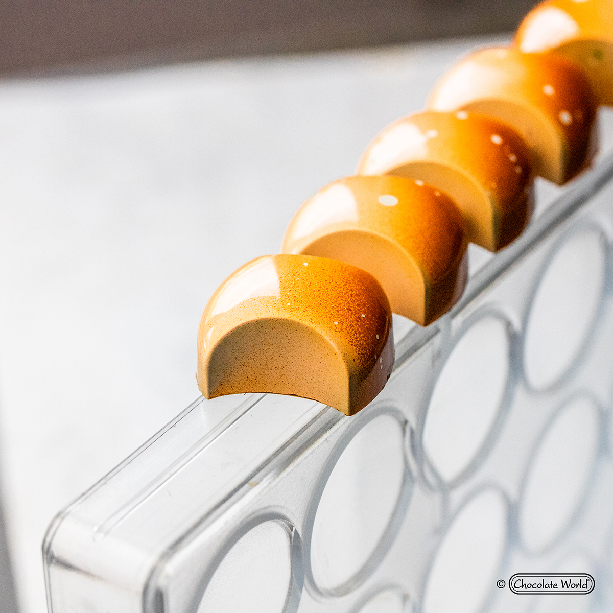 Matrita ciocolata Lana Orlova Bauer, 21 cavitati, 27.5x13.5cm, policarbonat, Chocolate World 4