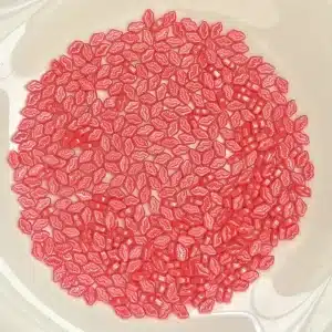 Sprinkles Buze Roz 100g Dr. Gusto 2