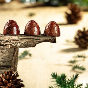 Chocoladevorm dennenappel 1