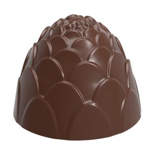 Chocoladevorm dennenappel